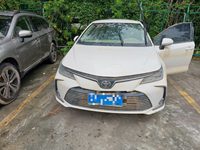  卡罗拉
