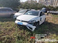 2019 高尔夫