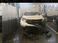 2019 本田CR-V[思威]