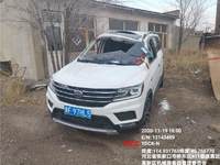 2019 SWM斯威X3