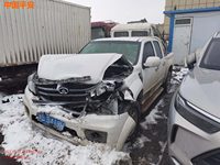 2018 长城CC1031PB29多用途货车