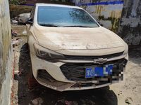 2019 科鲁泽