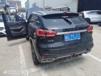 2021 WEY VV5