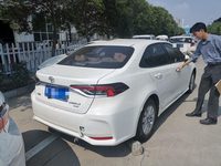 2020 卡罗拉