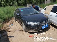 2013 福瑞迪