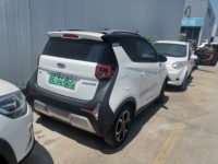 2020 小蚂蚁[奇瑞eQ1]
