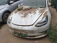 2020 Model 3(进口)