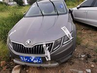 2020 明锐