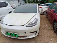 2019 Model 3(进口)