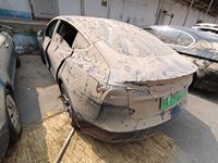 2020 Model 3
