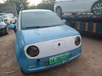 2020 2020年  欧拉黑猫