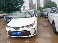 2021 卡罗拉