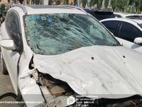 2016 翼虎CAF6450A55
