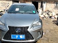 2020 雷克萨斯NX(进口)