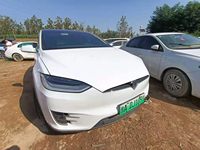 2020 Model X(进口)