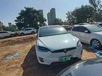 2019 Model X(进口)