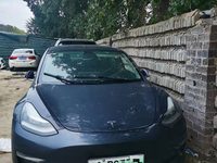  Model 3(进口)