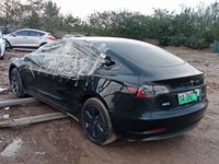 2021 Model 3