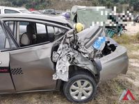 2015 阳光