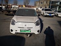 2021 零跑T03