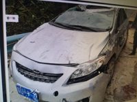 2010 卡罗拉