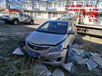 2013 瑞纳