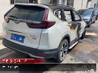 2020 本田CR-V[思威]
