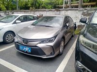 2020 卡罗拉