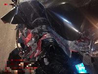 2014 福克斯