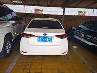 2022 卡罗拉