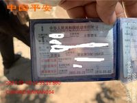 2009 明锐SVW7166ASD轿车