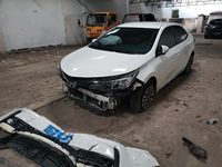 2019 卡罗拉