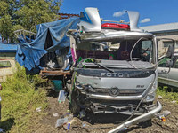 福田BJ5048CCY-F7仓栅式运输车