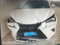 2021 雷克萨斯NX(进口)