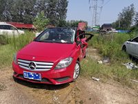 2014 奔驰B级(进口)