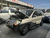 2010 狮跑[Sportage]