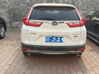 2019 本田CR-V[思威]