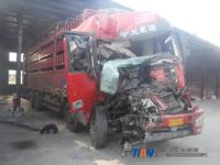 欧曼BJ5319CCY-AA仓栅式运输车