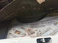 2012 2012 一汽大众 一汽大众捷达 三厢 1.6L 手动档 典藏版(FV7160FG)