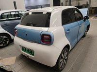 2019 欧拉黑猫[欧拉R1]