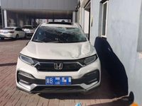 2020 本田XR-V[炫威]