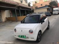 2022 欧拉黑猫[欧拉R1]