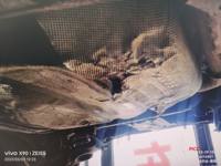 2010 马自达MX-5 2009款 2.0