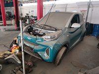 2021 小蚂蚁[奇瑞eQ1]