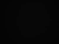 2014 朗动 2012款 1.6L 手动领先型