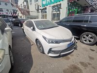 2019 卡罗拉