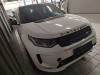 2020 发现运动版