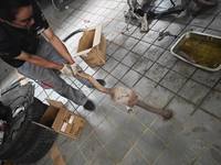 2021 哈弗H6 2021款 运动版 1.5T 自动精英智联型