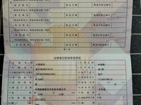 2022 QQ冰淇淋