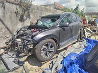 2019 本田CR-V[思威]